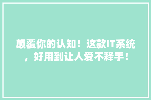 颠覆你的认知！这款IT系统，好用到让人爱不释手！