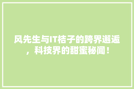风先生与IT桔子的跨界邂逅，科技界的甜蜜秘闻！