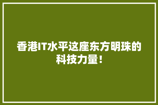 香港IT水平这座东方明珠的科技力量！
