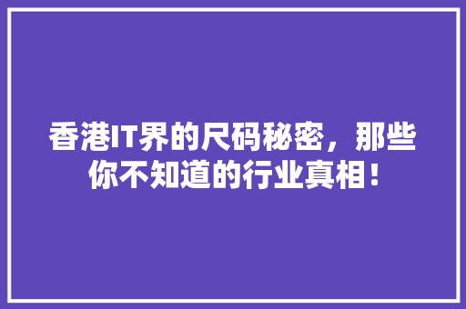 香港IT界的尺码秘密，那些你不知道的行业真相！