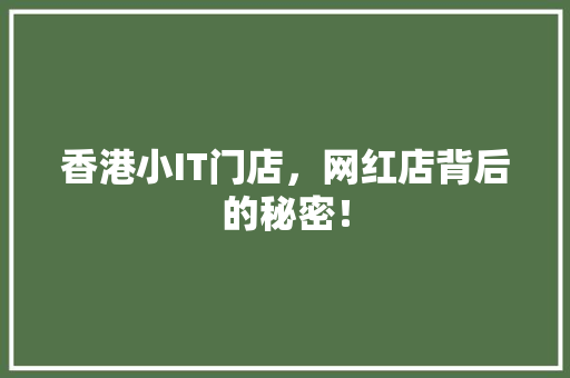 香港小IT门店，网红店背后的秘密！