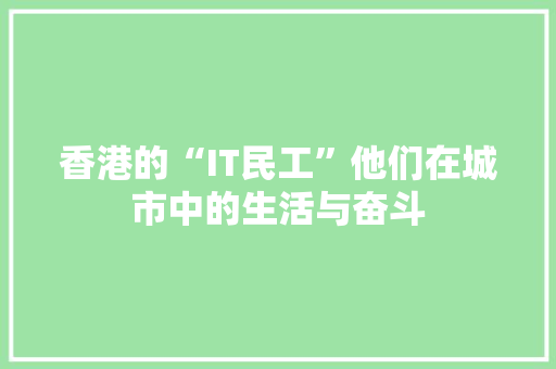 香港的“IT民工”他们在城市中的生活与奋斗