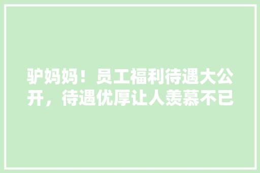 驴妈妈！员工福利待遇大公开，待遇优厚让人羡慕不已
