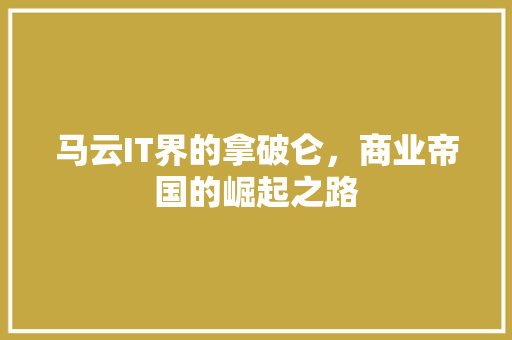 马云IT界的拿破仑，商业帝国的崛起之路