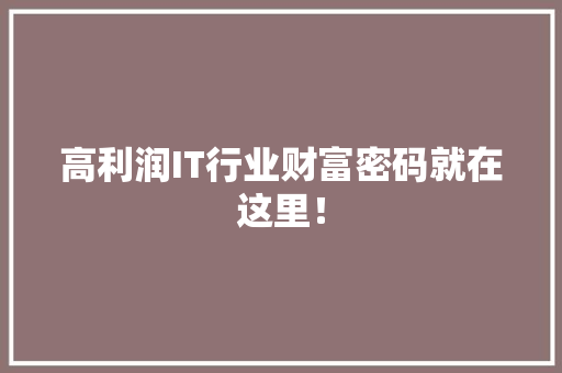 高利润IT行业财富密码就在这里！