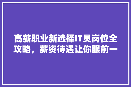 高薪职业新选择IT员岗位全攻略，薪资待遇让你眼前一亮