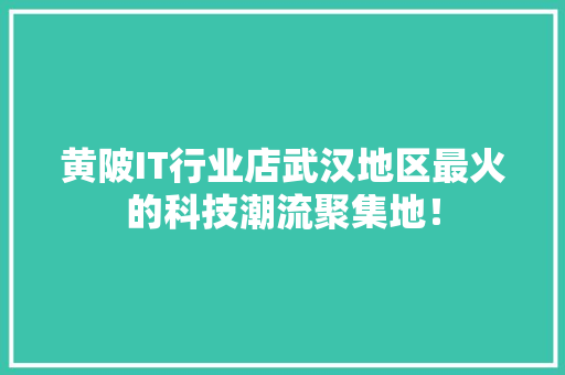 黄陂IT行业店武汉地区最火的科技潮流聚集地！