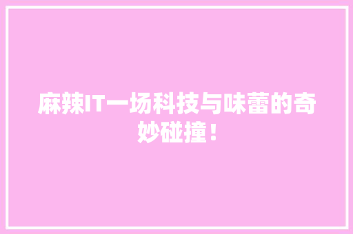 麻辣IT一场科技与味蕾的奇妙碰撞！