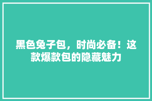 黑色兔子包，时尚必备！这款爆款包的隐藏魅力