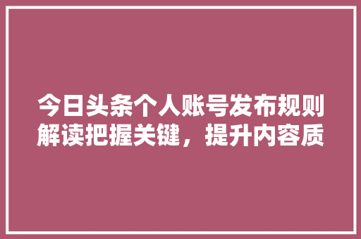 今日头条个人账号发布规则解读把握关键，提升内容质量 SEO关键词