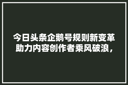 今日头条企鹅号规则新变革助力内容创作者乘风破浪，共创美好未来 SEO关键词