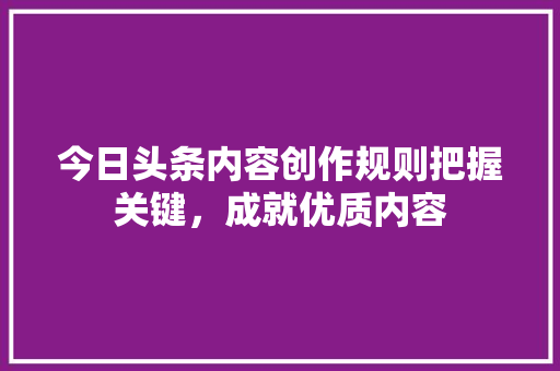 今日头条内容创作规则把握关键，成就优质内容 SEO关键词
