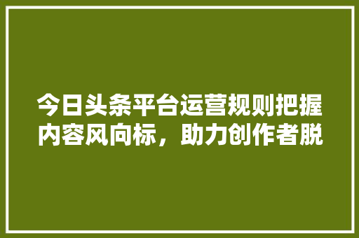 今日头条平台运营规则把握内容风向标，助力创作者脱颖而出 网站建设公司