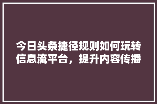 今日头条捷径规则如何玩转信息流平台，提升内容传播力 百度SEO