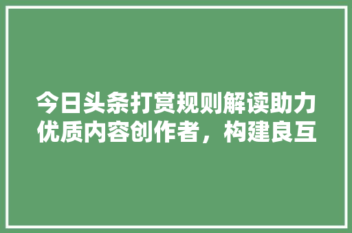 今日头条打赏规则解读助力优质内容创作者，构建良互动生态 百度SEO