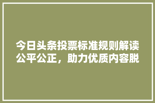 今日头条投票标准规则解读公平公正，助力优质内容脱颖而出