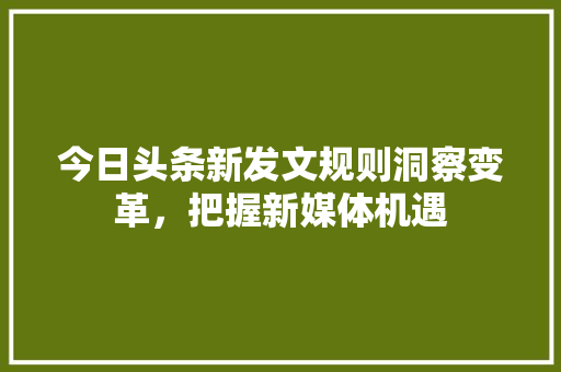 今日头条新发文规则洞察变革，把握新媒体机遇 必应SEO