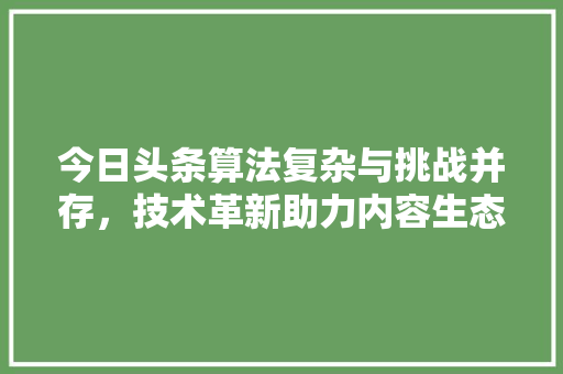 今日头条算法复杂与挑战并存，技术革新助力内容生态