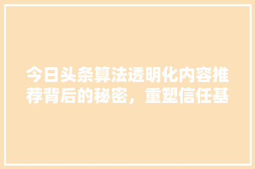今日头条算法透明化内容推荐背后的秘密，重塑信任基石