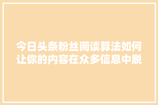 今日头条粉丝阅读算法如何让你的内容在众多信息中脱颖而出 神马SEO