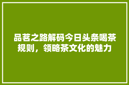 品茗之路解码今日头条喝茶规则，领略茶文化的魅力 SEO关键词
