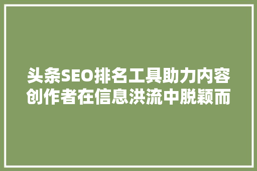 头条SEO排名工具助力内容创作者在信息洪流中脱颖而出 SEO关键词