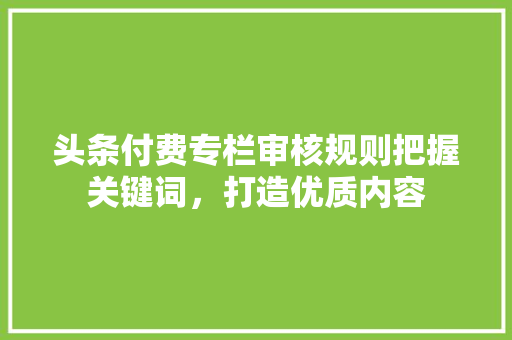 头条付费专栏审核规则把握关键词，打造优质内容 搜狗SEO