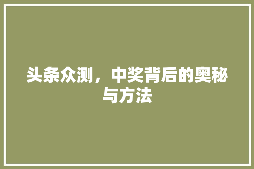 头条众测，中奖背后的奥秘与方法 网站建设公司