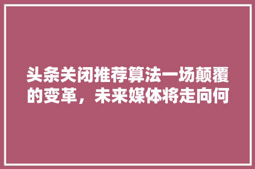 头条关闭推荐算法一场颠覆的变革，未来媒体将走向何方 神马SEO
