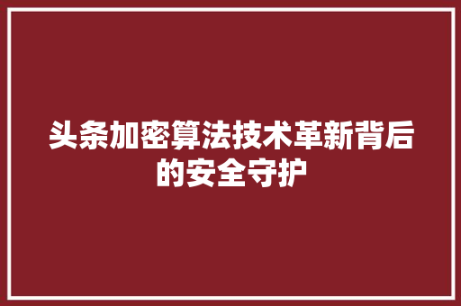 头条加密算法技术革新背后的安全守护 搜狗SEO