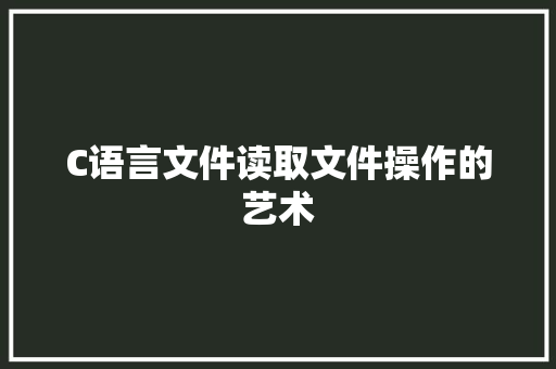 C语言文件读取文件操作的艺术 网站建设公司