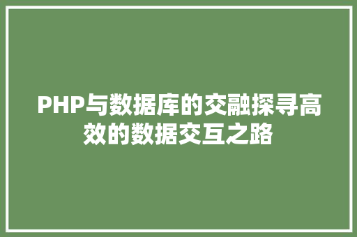PHP与数据库的交融探寻高效的数据交互之路