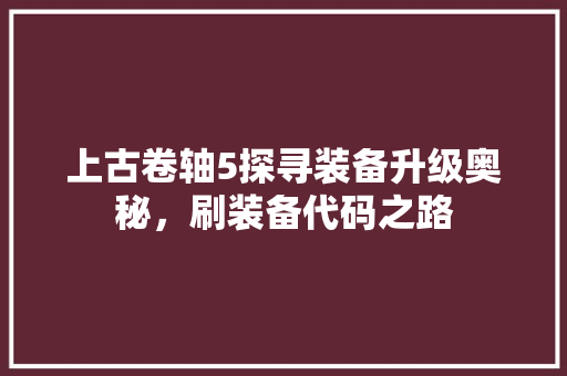 上古卷轴5探寻装备升级奥秘，刷装备代码之路 神马SEO