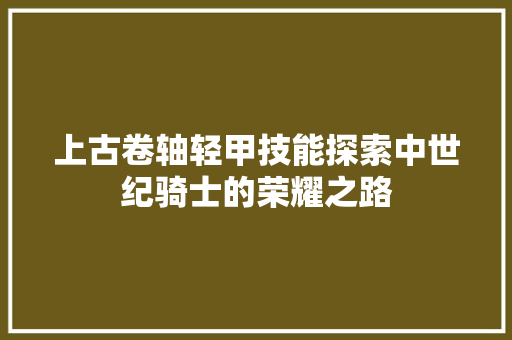 上古卷轴轻甲技能探索中世纪骑士的荣耀之路 网站建设公司