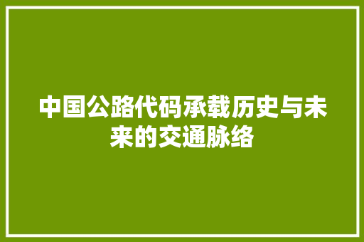中国公路代码承载历史与未来的交通脉络 必应SEO