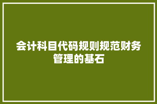 会计科目代码规则规范财务管理的基石 必应SEO