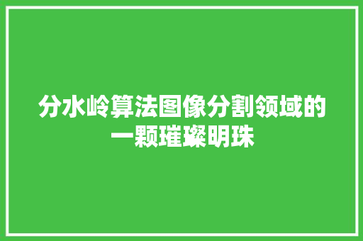 分水岭算法图像分割领域的一颗璀璨明珠 SEO关键词
