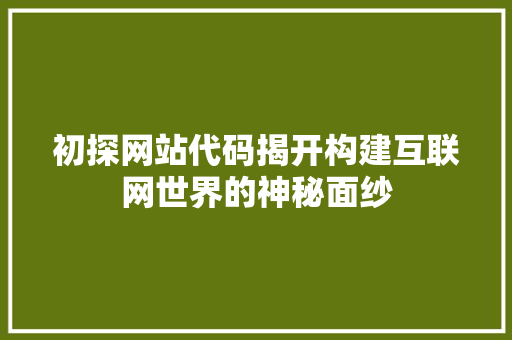 初探网站代码揭开构建互联网世界的神秘面纱 SEO关键词