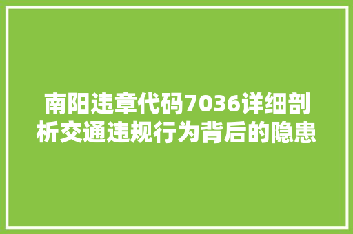 南阳违章代码7036详细剖析交通违规行为背后的隐患与治理 SEO关键词