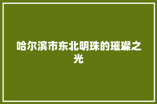 哈尔滨市东北明珠的璀璨之光 搜狗SEO