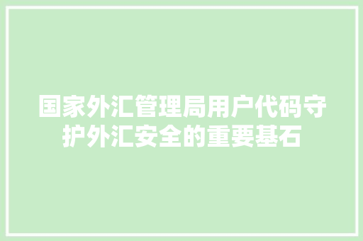 国家外汇管理局用户代码守护外汇安全的重要基石 搜狗SEO