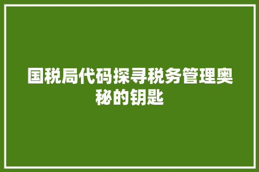 国税局代码探寻税务管理奥秘的钥匙 必应SEO