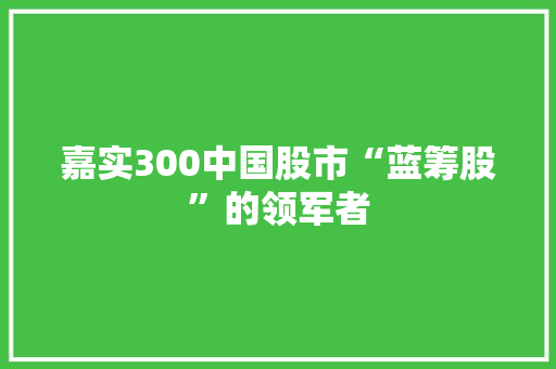 嘉实300中国股市“蓝筹股”的领军者 必应SEO