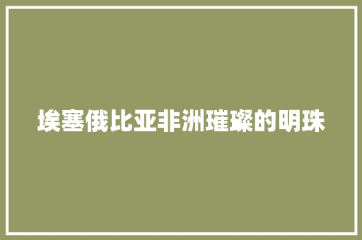 埃塞俄比亚非洲璀璨的明珠 搜狗SEO