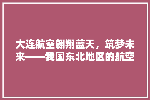 大连航空翱翔蓝天，筑梦未来——我国东北地区的航空明珠 SEO关键词
