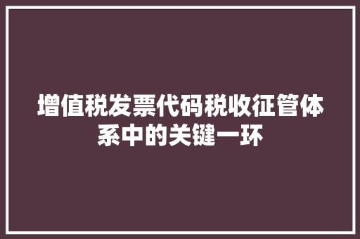 增值税发票代码税收征管体系中的关键一环 神马SEO