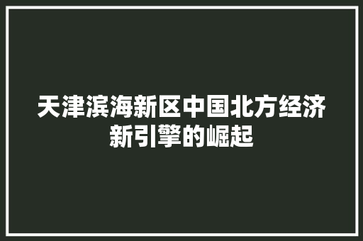 天津滨海新区中国北方经济新引擎的崛起 神马SEO