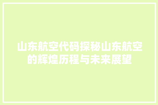 山东航空代码探秘山东航空的辉煌历程与未来展望 SEO关键词