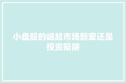 小盘股的崛起市场新宠还是投资陷阱 网站建设公司