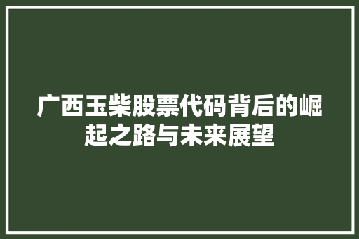 广西玉柴股票代码背后的崛起之路与未来展望 神马SEO